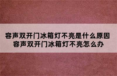 容声双开门冰箱灯不亮是什么原因 容声双开门冰箱灯不亮怎么办